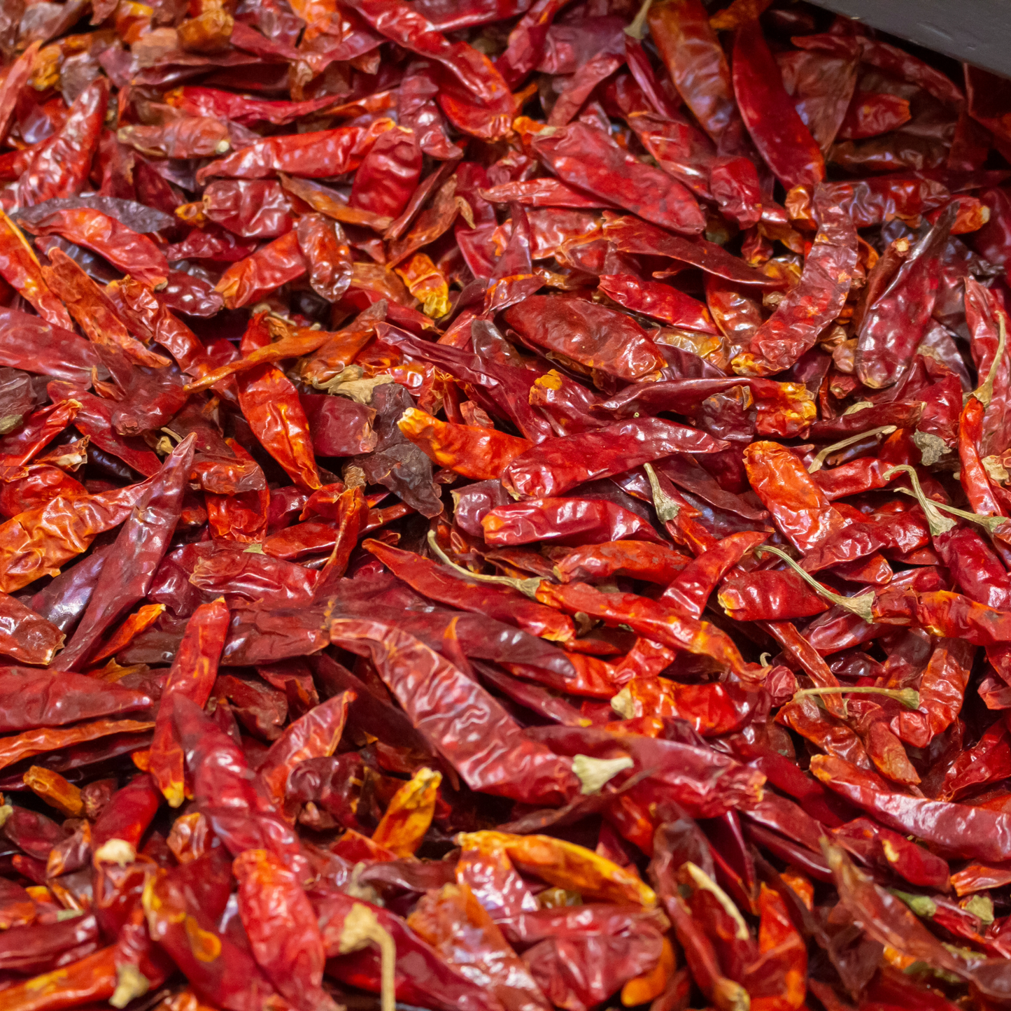 Dried Japones Chili peppers bulk