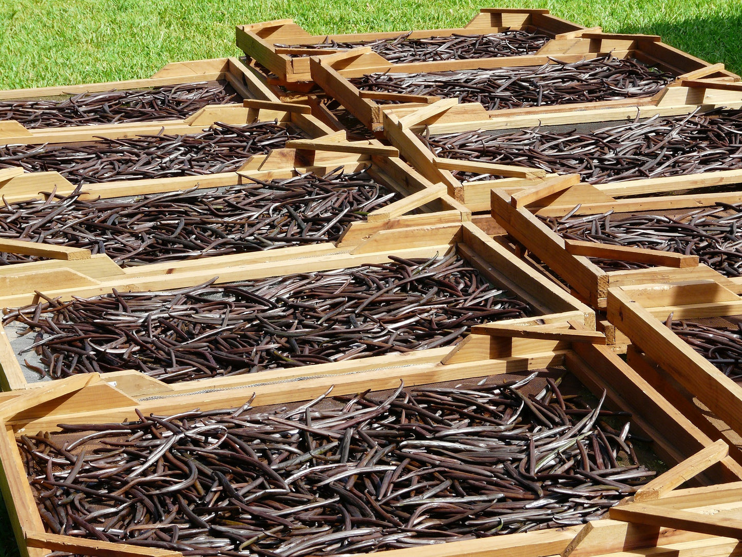 Madagascar Bourbon Grade A Vanilla Beans
