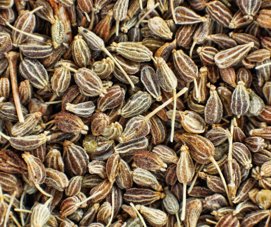 Anise Seed Whole