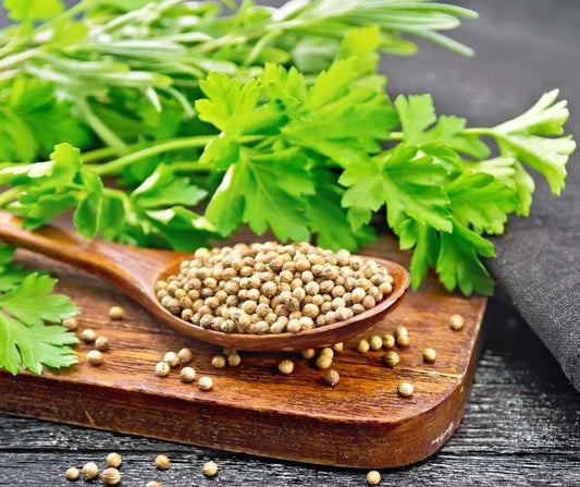Coriander Seed