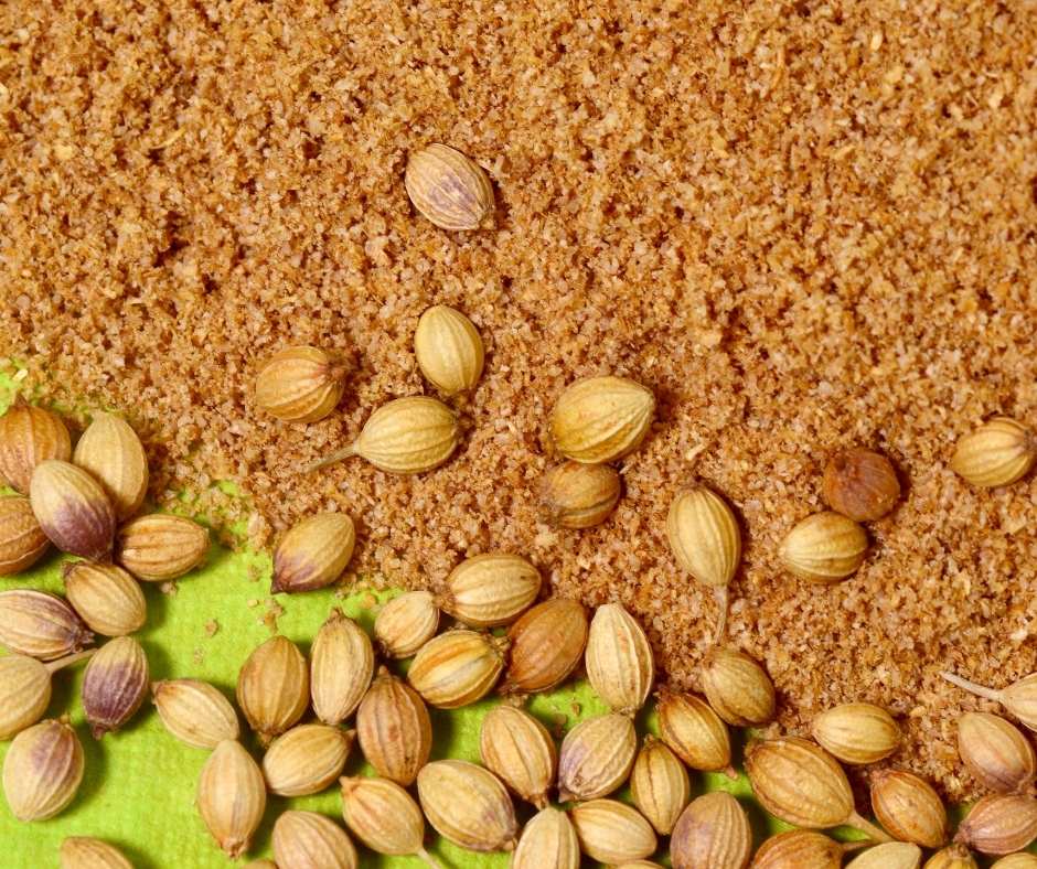 Coriander Ground