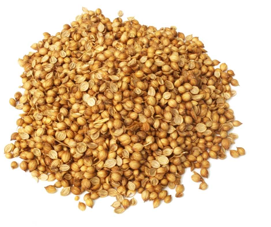Coriander Seed