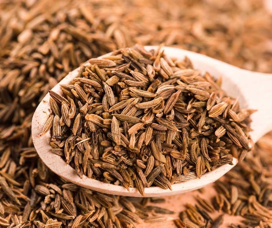 Cumin Seed