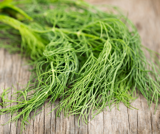 Dill Weed / Seed