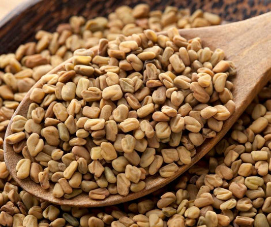 Fenugreek Seed