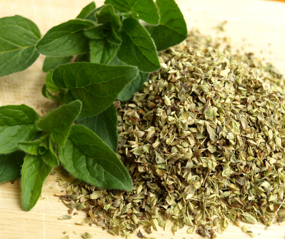 Oregano