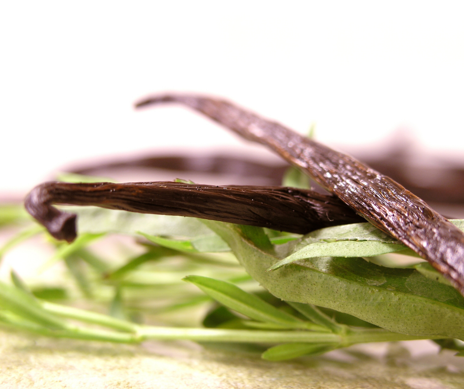 Tahitensis (PNG) Grade A Vanilla Beans