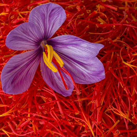 Coupe Spanish Saffron is a premium spice prized for its delicious and spectacular taste, adding natural flavour and color to dishes of all kinds.