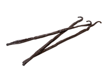 Load image into Gallery viewer, Tahitensis (PNG) Grade A Vanilla Beans
