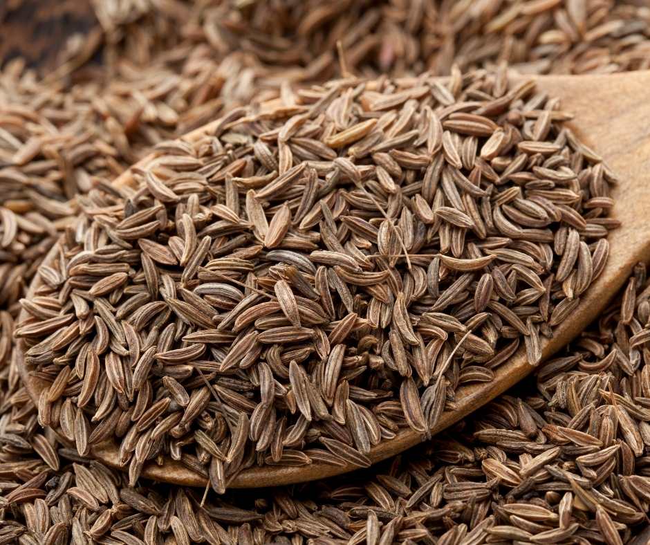 Caraway Seed